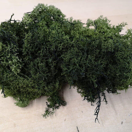Lichen Moss - Dark Green - MiniHobby