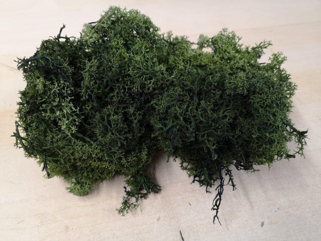 Lichen Moss - Dark Green - MiniHobby