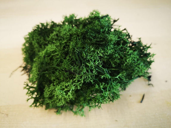 Lichen Moss - Fir Green - MiniHobby