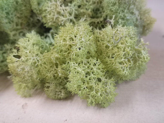Lichen Moss - Old Green - MiniHobby
