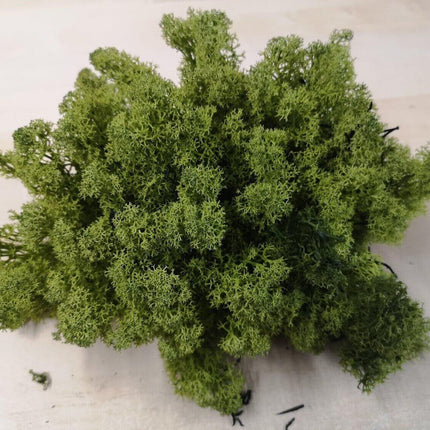 Lichen Moss - Olive Green - MiniHobby