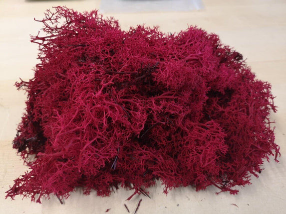 Lichen Moss - Red - MiniHobby
