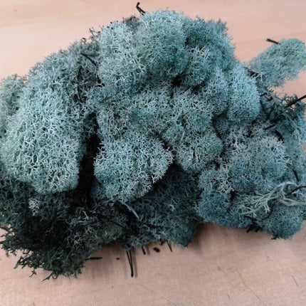 Lichen Moss - Turquoise - MiniHobby