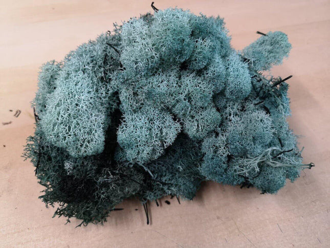 Lichen Moss - Turquoise - MiniHobby