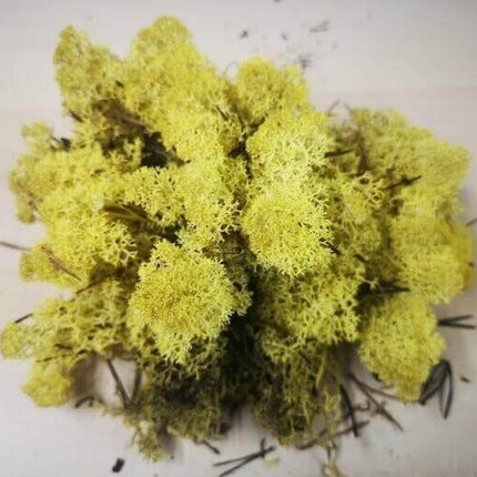 Lichen Moss - Yellow - MiniHobby