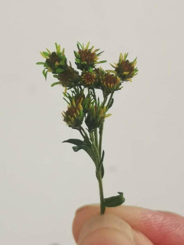 Preserved Summer Flowers - MiniHobby